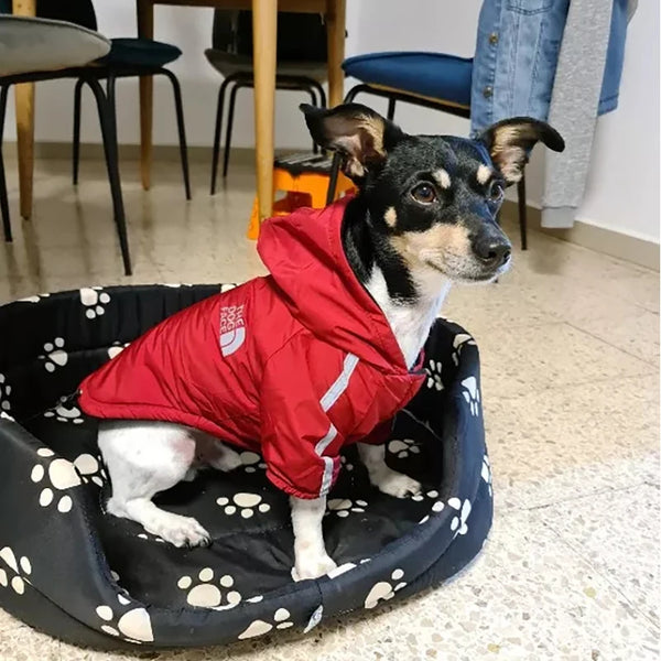 Waterproof dog jacket with reflective trim and fleece lining, providing winter weather protection