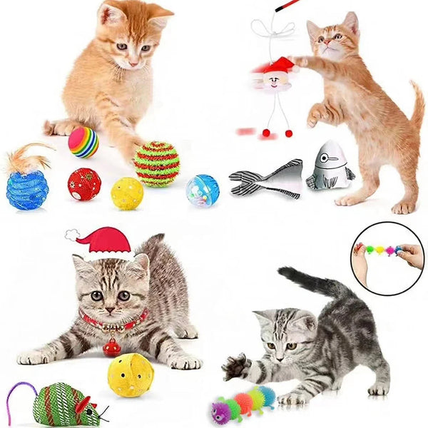 Kitties playing with various cat toys from the advent calendar
