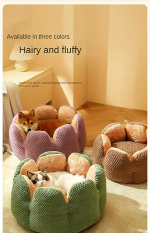 Three flower-shaped plush pet beds in green, purple, and brown colors, each shown with a dog or cat resting inside in a sunlit room.