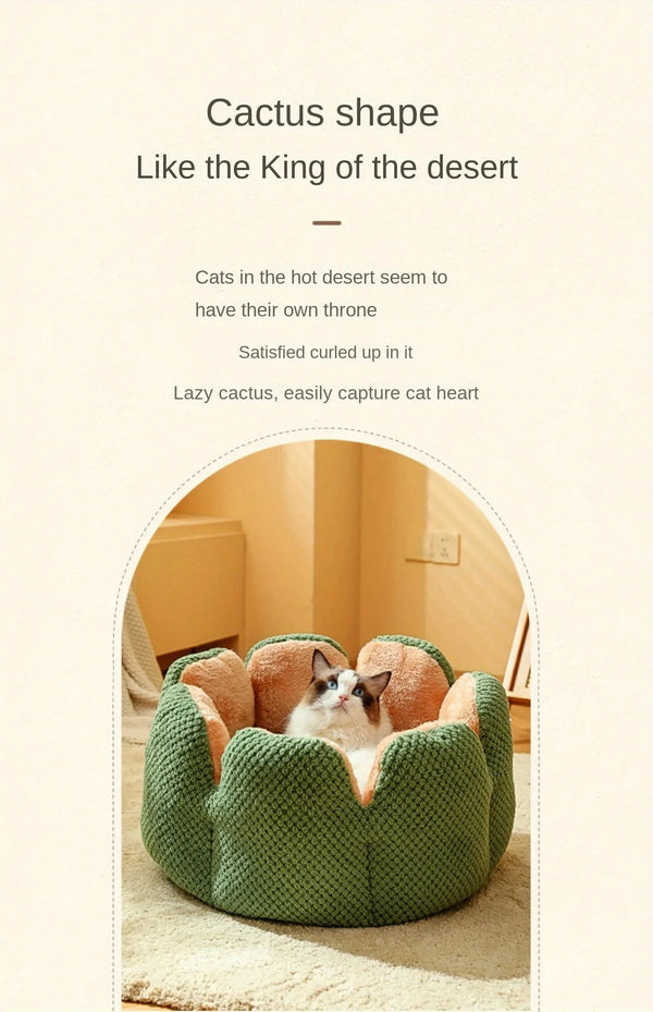 Ragdoll cat sitting inside a green cactus-shaped plush pet bed, shown in a warm indoor room with text describing the cactus design.