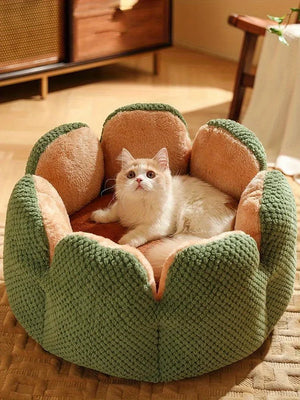 Cat lying on a green and brown Cactus bed in a cozy room.