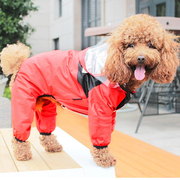 Poodle wearing a red snowsuit standing on a wooden deck.
