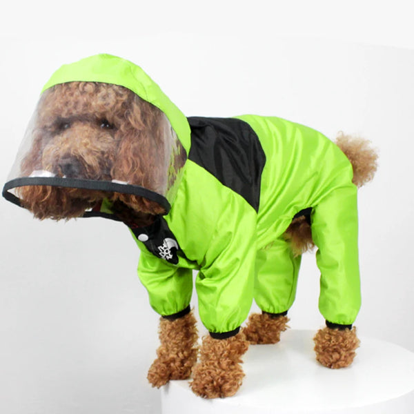 Dog wearing green raincoat with transparent hood on white background