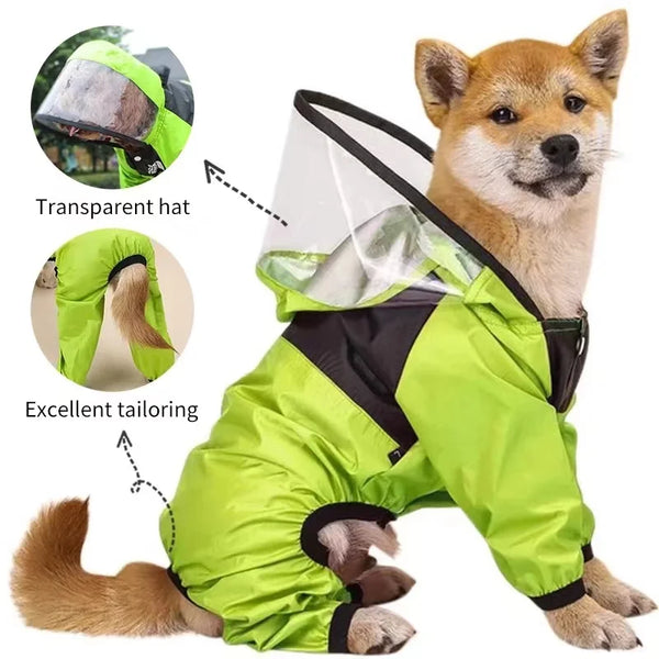 Dog wearing green raincoat showing transparent hood and tailored fit