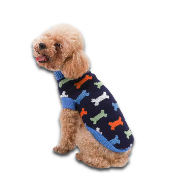 Dog wearing a colorful sweater with bone patterns 