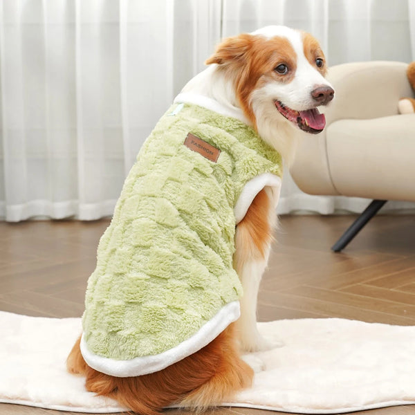 Fleece dog vest green - happy Corgi side view wearing soft winter vest in modern home
