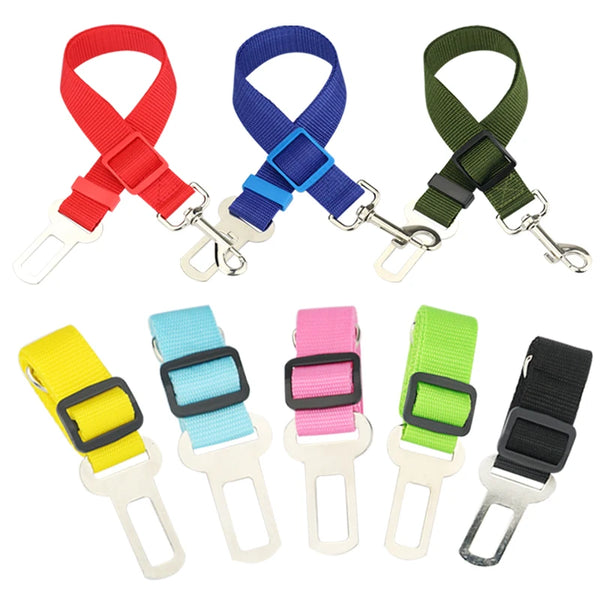 Adjustable pet car seat belt ensuring safety and security for cats and dogs during vehicle travel