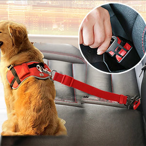 Adjustable pet car seat belt ensuring safety and security for cats and dogs during vehicle travel