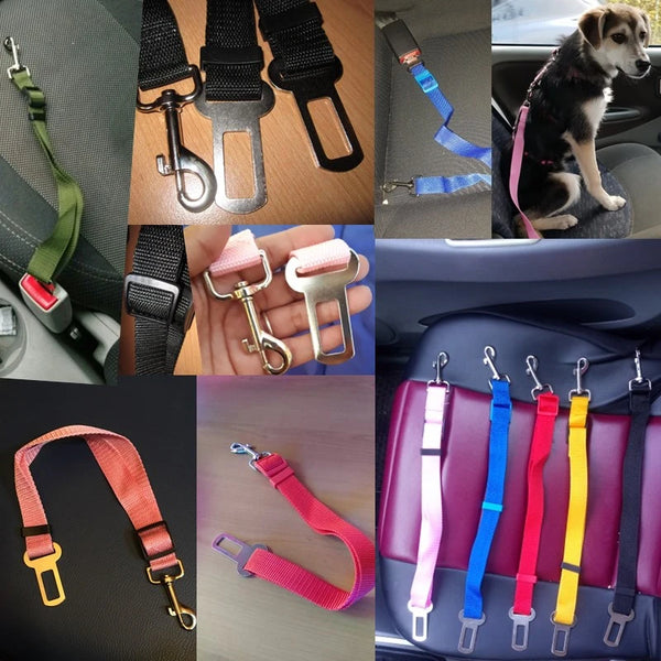 Adjustable pet car seat belt ensuring safety and security for cats and dogs during vehicle travel