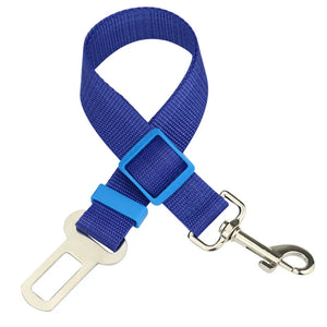 Adjustable pet car seat belt ensuring safety and security for cats and dogs during vehicle travel