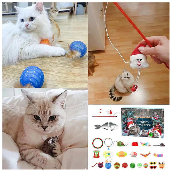 Collage of cats playing with various cat toys including a blue ball, red string toy, and Christmas-themed toys. Advent Calendar 