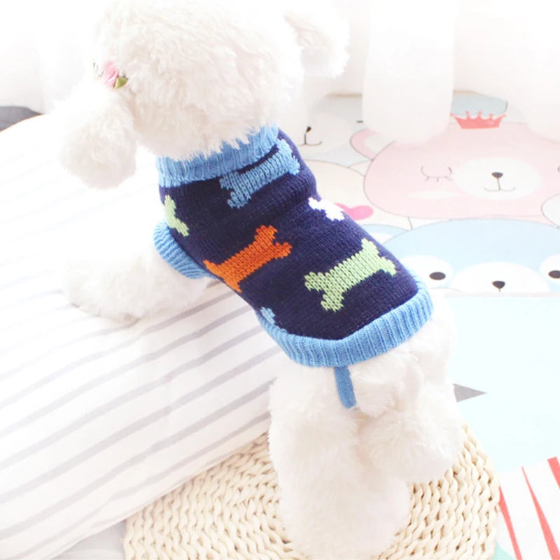Dog wearing a colorful sweater with bone patterns 