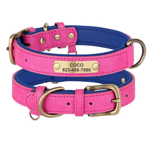 Custom leather dog collar with personalized engraving, featuring reflective safety trim
