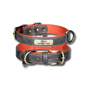 Custom leather dog collar with personalized engraving, featuring reflective safety trim
