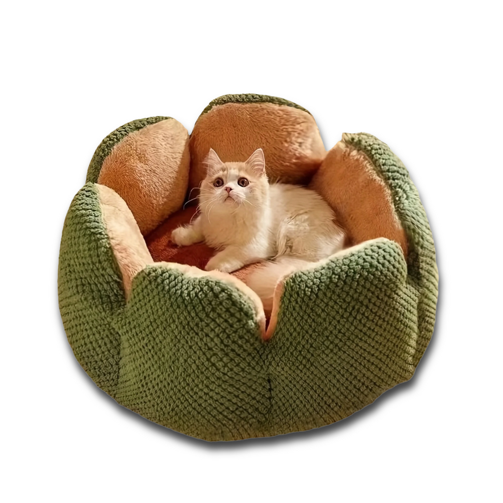 Cream-colored cat resting inside a green flower-shaped plush pet bed on a white background.