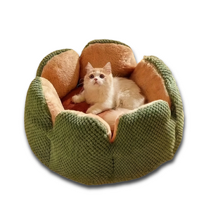Cream-colored cat resting inside a green flower-shaped plush pet bed on a white background.