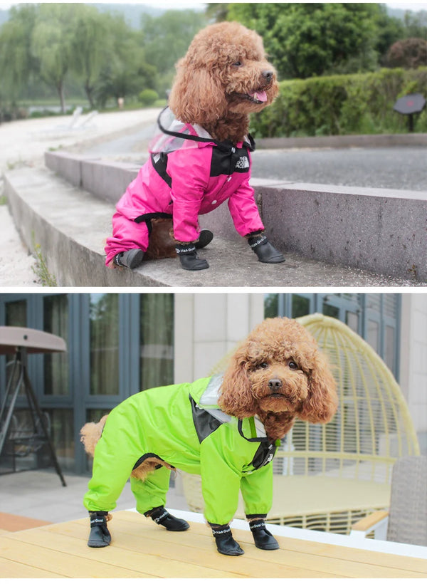 Dog wearing waterproof raincoat outdoors - pink and green color options