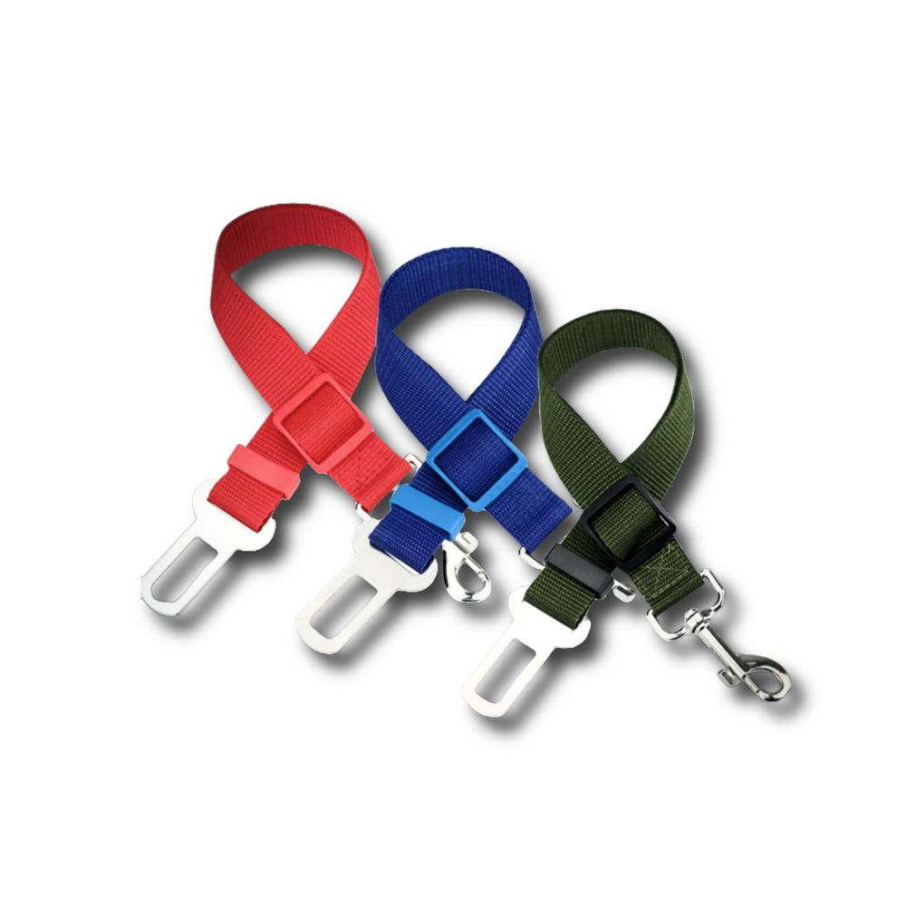 Adjustable pet car seat belt ensuring safety and security for cats and dogs during vehicle travel