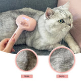Gatto grigio spazzolato con Spray Comb PurrEmbassy, prima e dopo