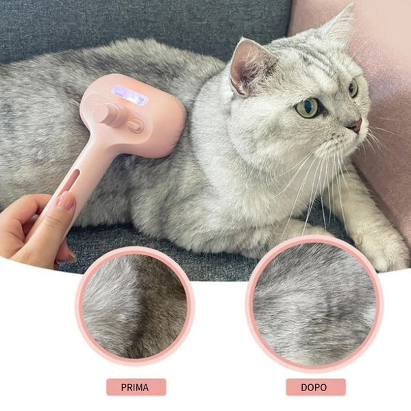 Gatto grigio spazzolato con Spray Comb PurrEmbassy, prima e dopo