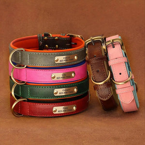 Custom leather dog collar with personalized engraving, featuring reflective safety trim