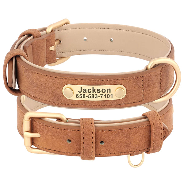 Custom leather dog collar with personalized engraving, featuring reflective safety trim