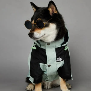 Shiba Inu wearing MINISO waterproof dog jacket - mint green black color option
