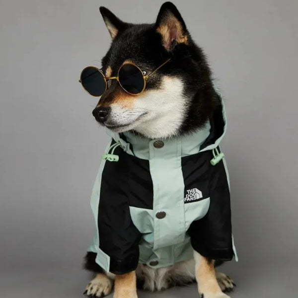 Shiba Inu wearing MINISO waterproof dog jacket - mint green black color option
