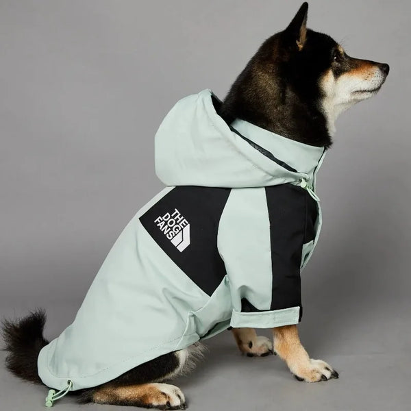 Shiba Inu wearing MINISO waterproof dog jacket - mint green three-quarter view

