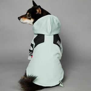 MINISO dog jacket back view - mint green showing full coverage and hood design