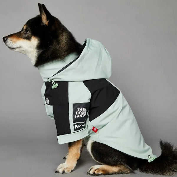 Shiba Inu wearing MINISO waterproof dog jacket - mint green side view with hood