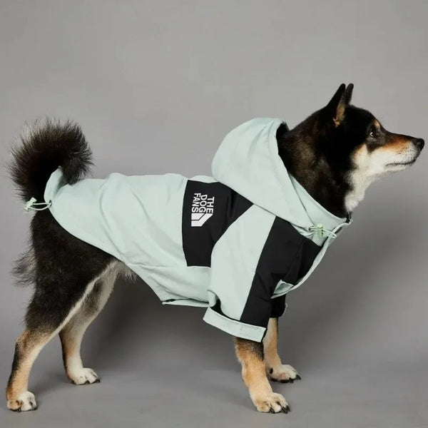 Shiba Inu wearing MINISO waterproof dog jacket - mint green side profile