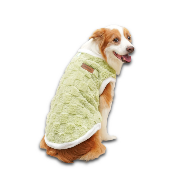 Fleece dog vest green - Corgi wearing soft winter vest with white sherpa trim side view
