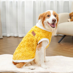 Fleece dog vest yellow - happy Corgi wearing soft winter vest in modern home setting
