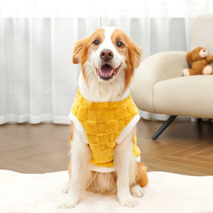 Fleece dog vest yellow - happy Corgi front view wearing soft winter vest in home setting
