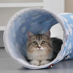 Cat resting inside a blue soft tunnel bed with cloud pattern, cozy. 