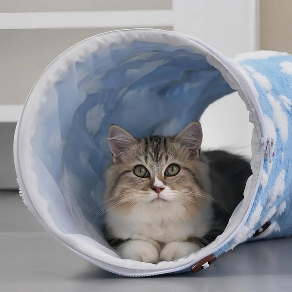 Cat resting inside a blue soft tunnel bed with cloud pattern, cozy. 
