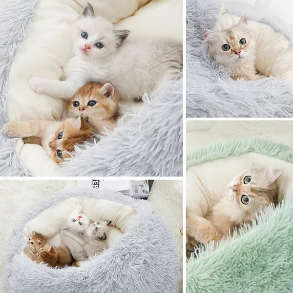 Multiple kittens resting inside fluffy plush cat cave beds in grey and mint colors — soft hooded pet nests providing warmth, comfort, and security