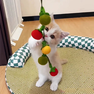 Cute kitten standing on hind legs playing with tomato and persimmon cat teaser string toy, colorful interactive self‑play cat toy for indoor cats.